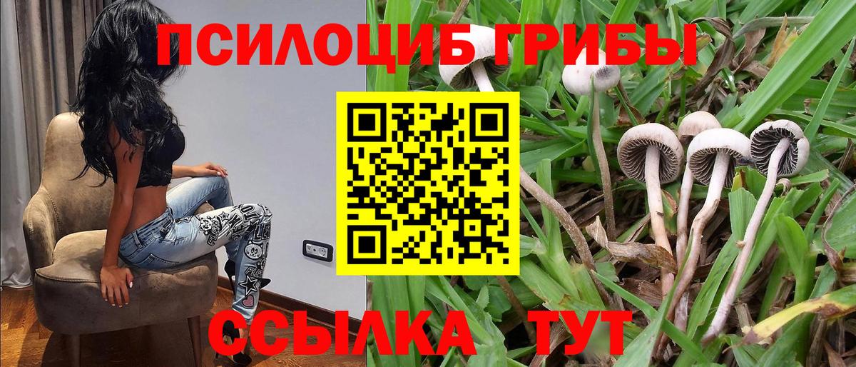 Набережные Челны  Галлюциногенные грибы прущие грибы  магазин    Вход с VPN 